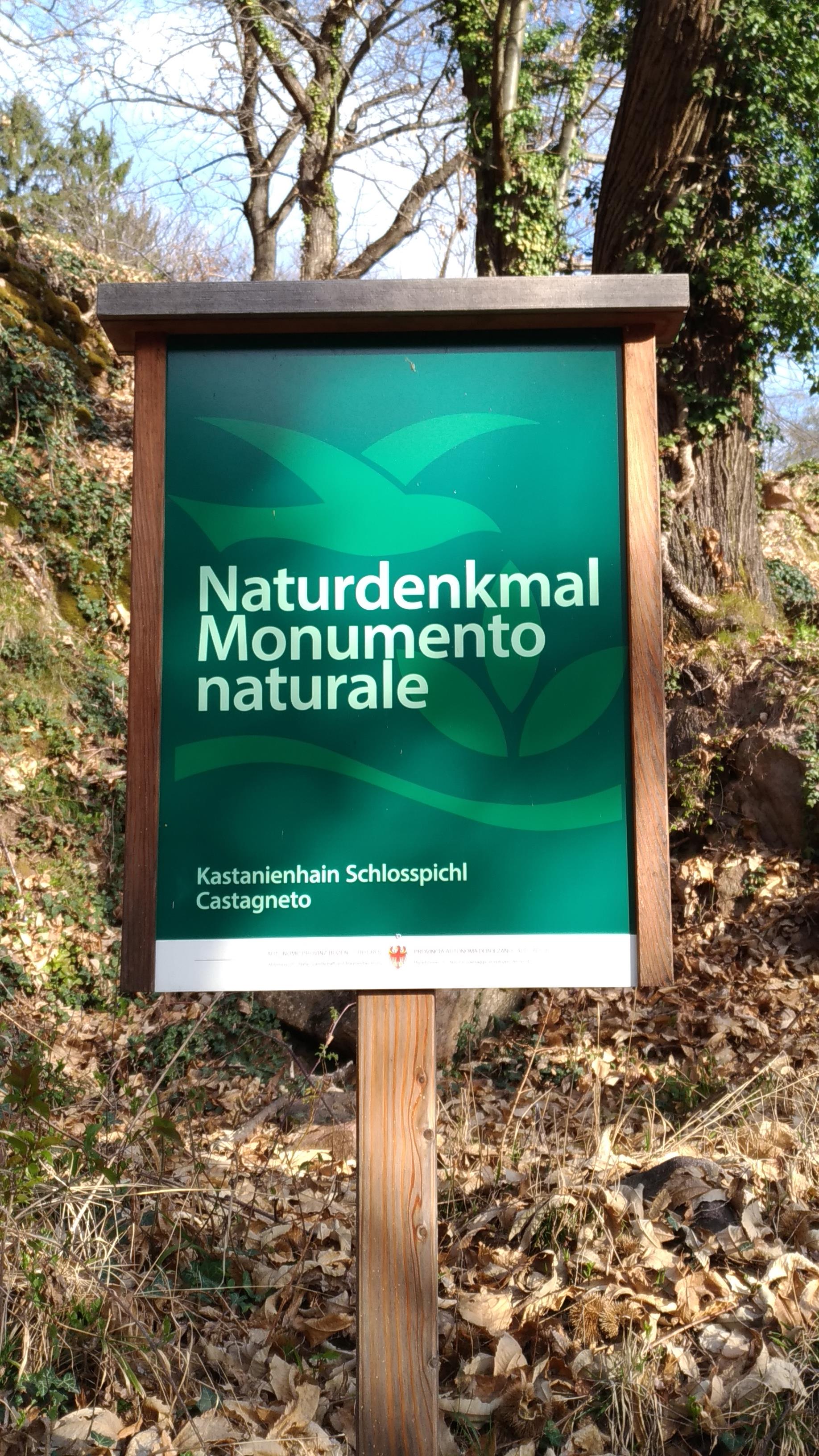 Kastanienhain am Schlosspichl Andrian 2 suedtirol.info