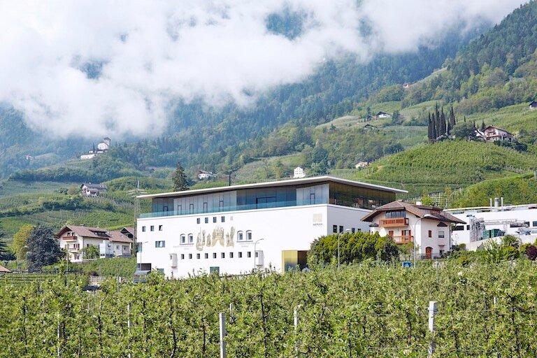 Meran Burggräfler Winery Marling/Marlengo 4 suedtirol.info