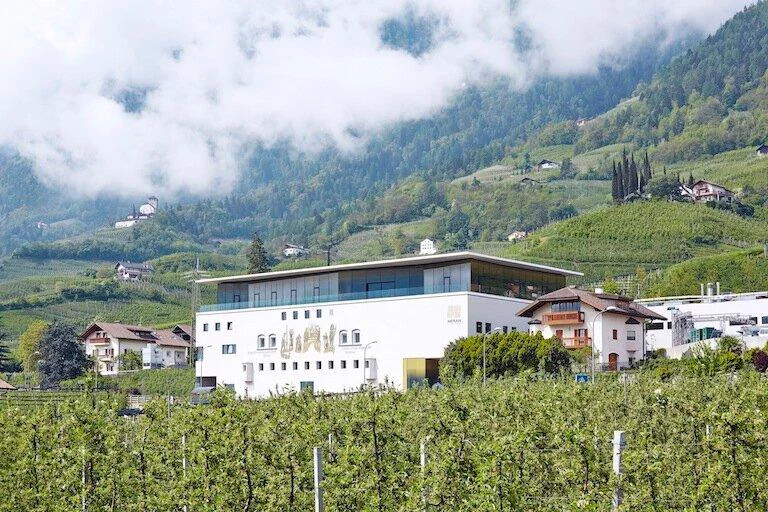 Cantina Merano Burggräfler Marlengo 4 suedtirol.info