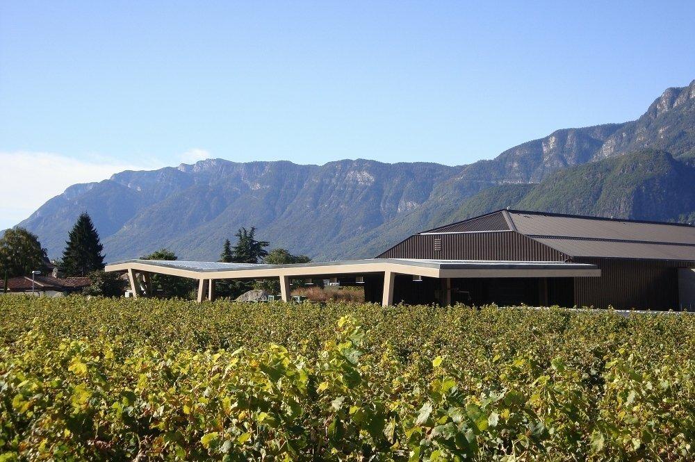 Cantina Cornaiano Appiano sulla Strada del Vino 1 suedtirol.info