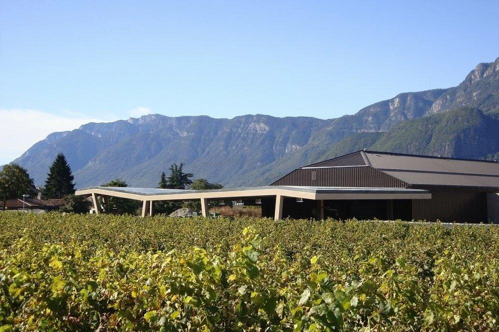 Cantina Cornaiano Appiano sulla Strada del Vino 1 suedtirol.info