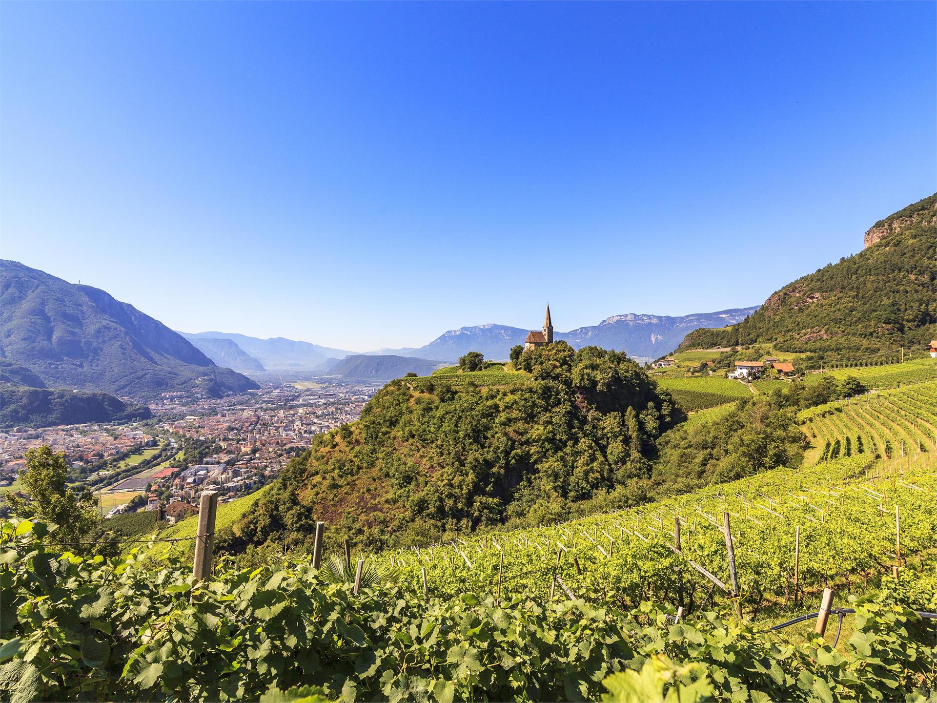 Sentiero del Castagno / Tappa 5 San Genesio Atesino 6 suedtirol.info
