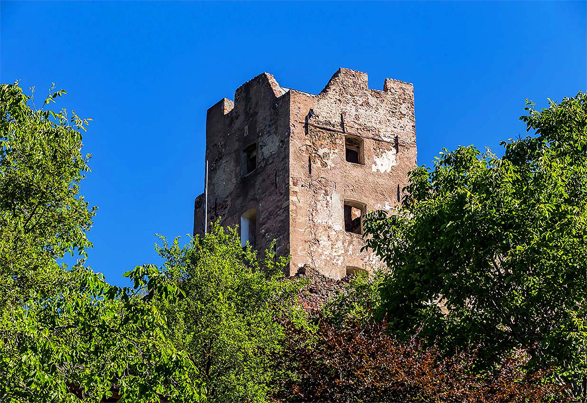 Sentiero del Castagno / Tappa 5 San Genesio Atesino 8 suedtirol.info