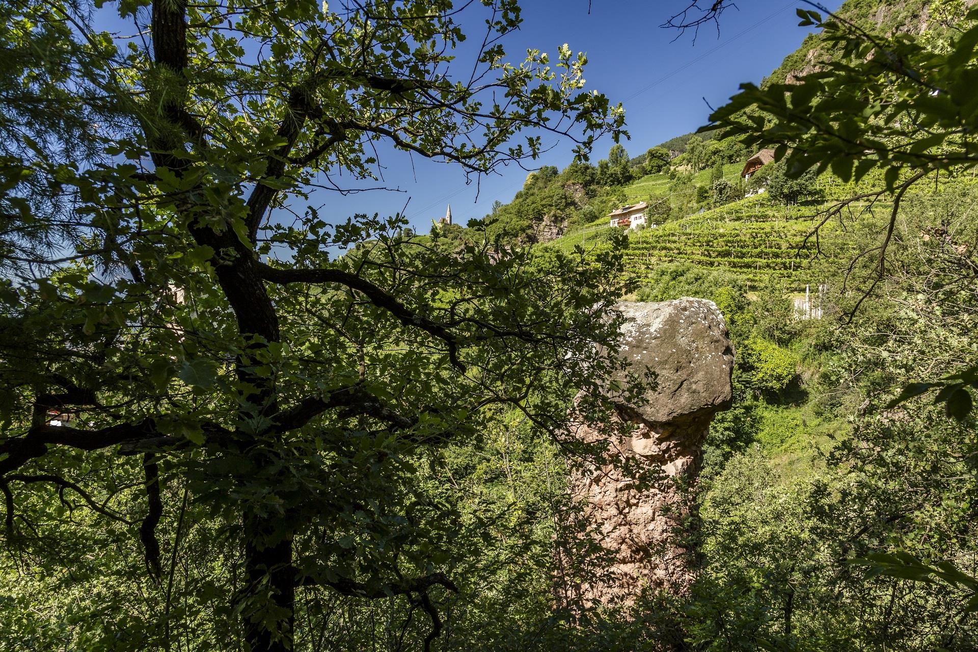 Sentiero del Castagno / Tappa 5 San Genesio Atesino 5 suedtirol.info