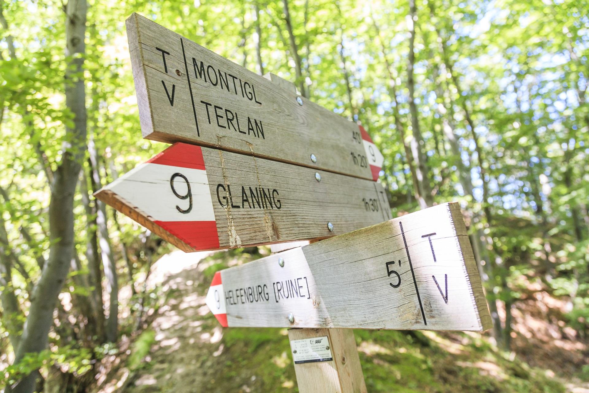 Sentiero del Castagno / Tappa 5 San Genesio Atesino 7 suedtirol.info