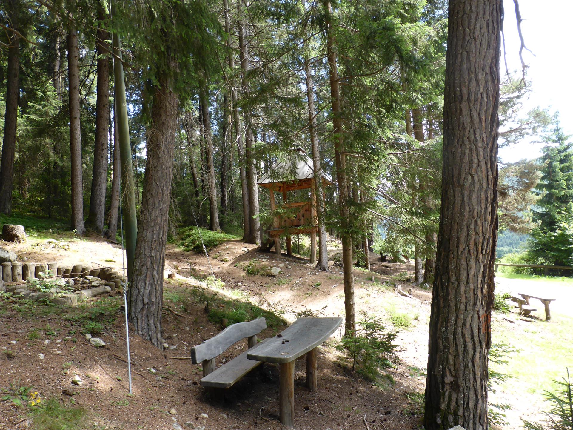 Children's playground, Barefoot trail Welsberg-Taisten/Monguelfo-Tesido 1 suedtirol.info