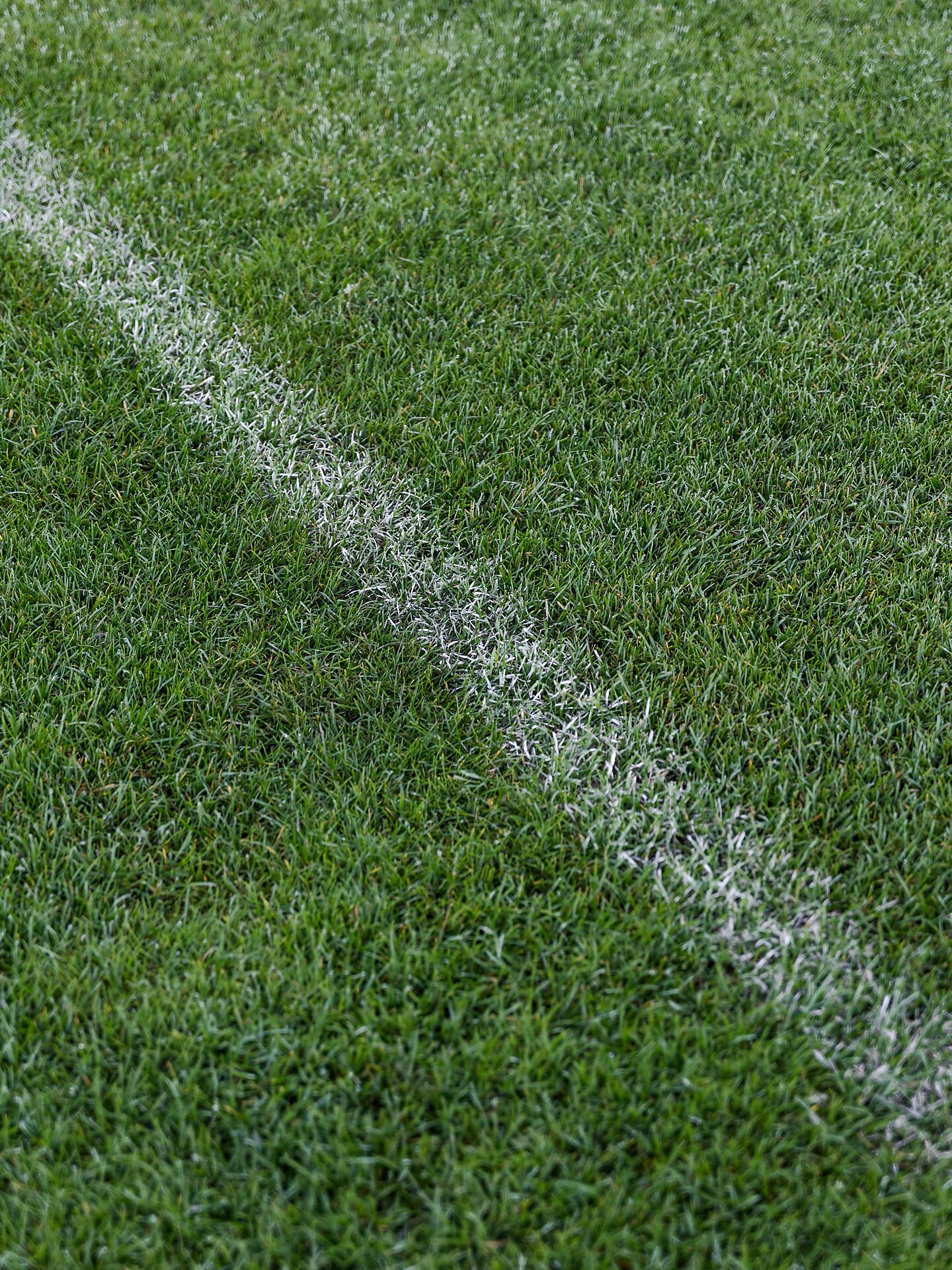 Calcetto Badia - Regione dolomitica Alta Badia - #1 - suedtirol.info