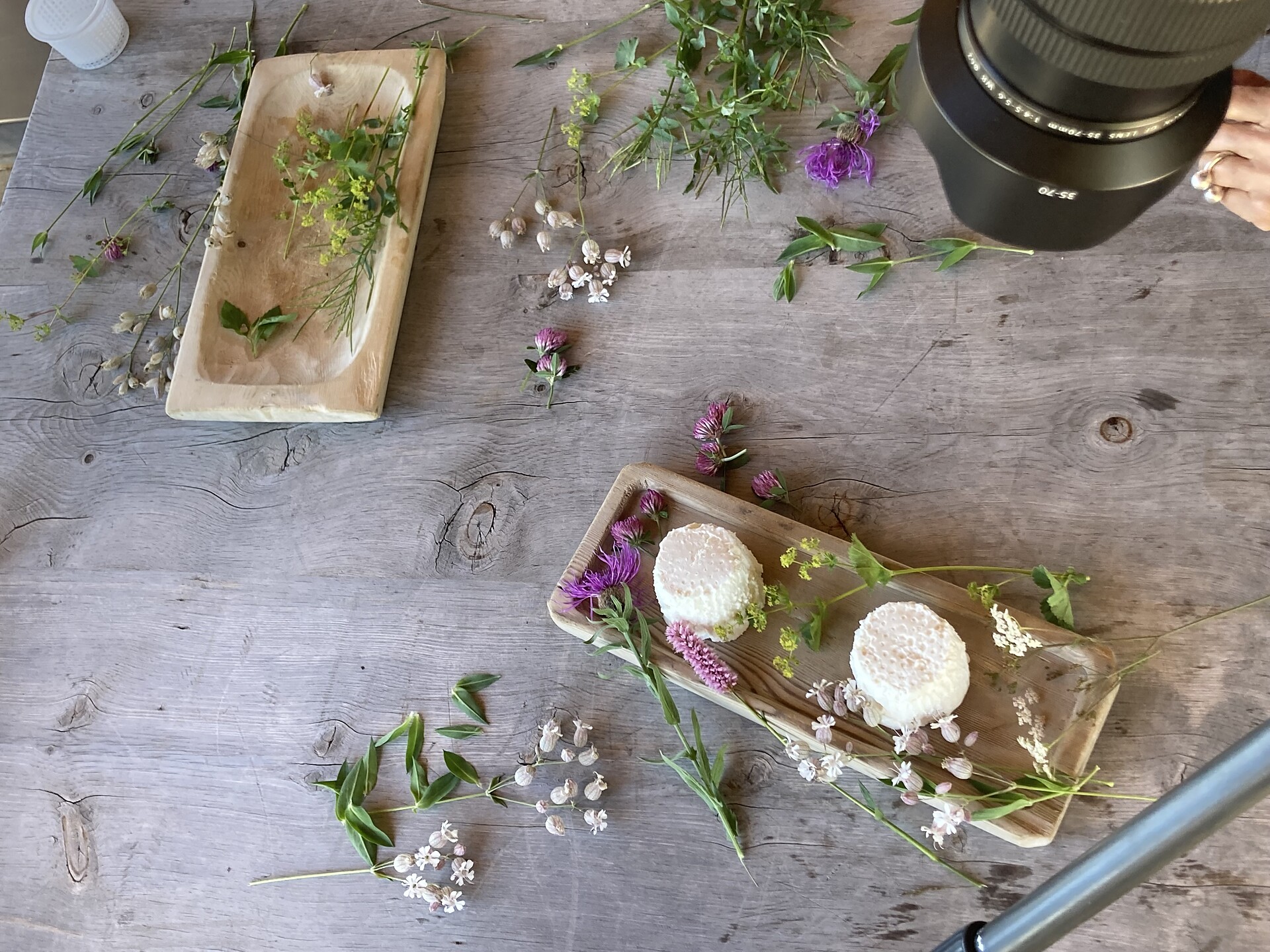 Ricotta mille salpori