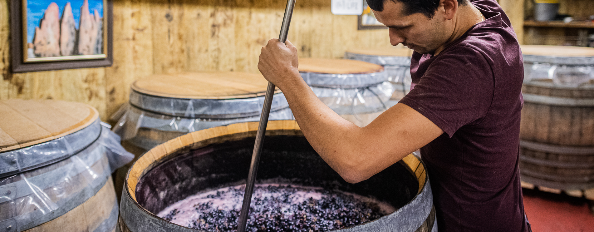 Heinrichshof SAS di Oberrauch Heiner Società Agricola - Bolzano e dintorni - #1 - suedtirol.info