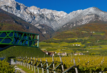 Cantina Tramin - Alto Adige Wine Road - #1 - suedtirol.info