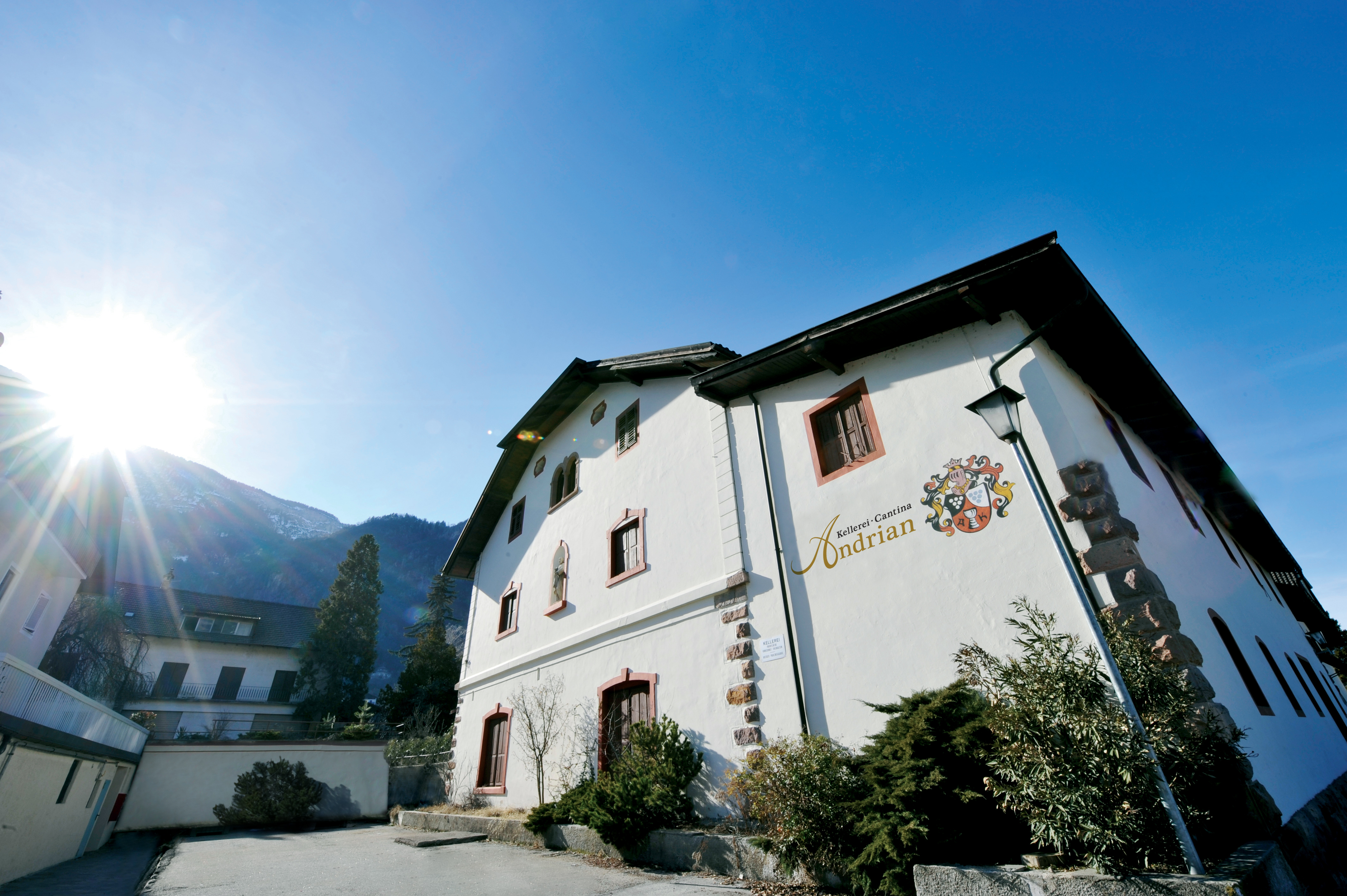 Cantina Andriano - Strada del Vino - #1 - suedtirol.info