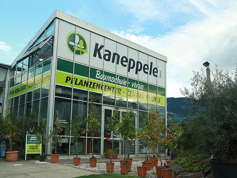 Kaneppele - Baumschule Tramin an der Weinstraße 1 suedtirol.info
