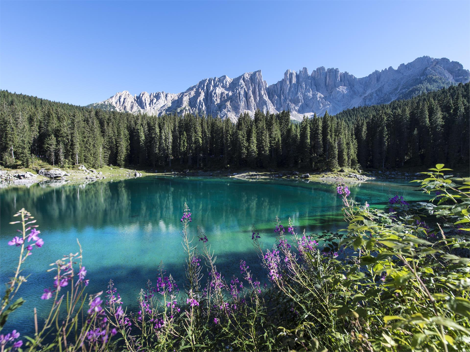 Lago di Carezza Nova Levante 1 suedtirol.info