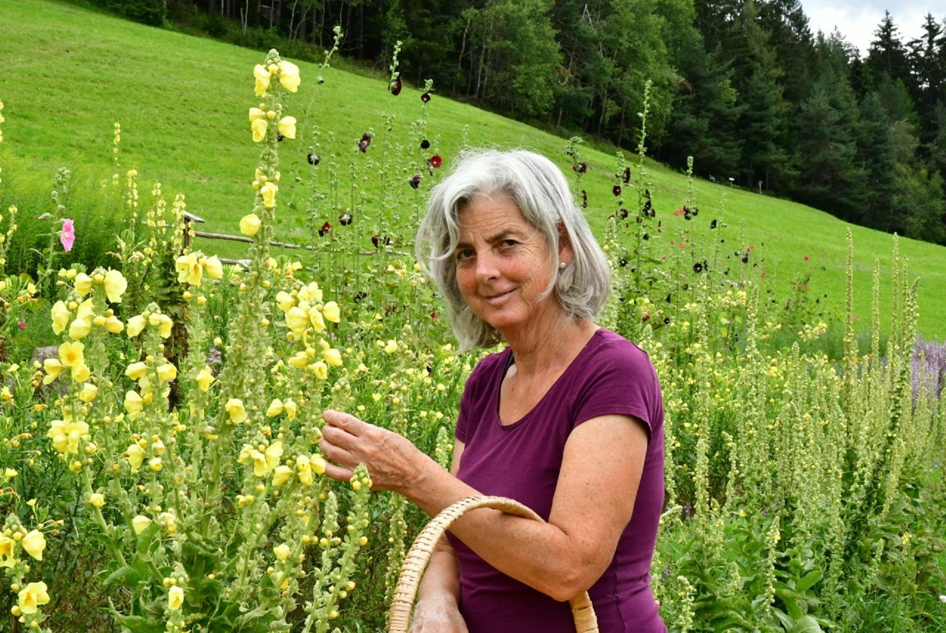 Kräuterhof Hauser Percha 3 suedtirol.info
