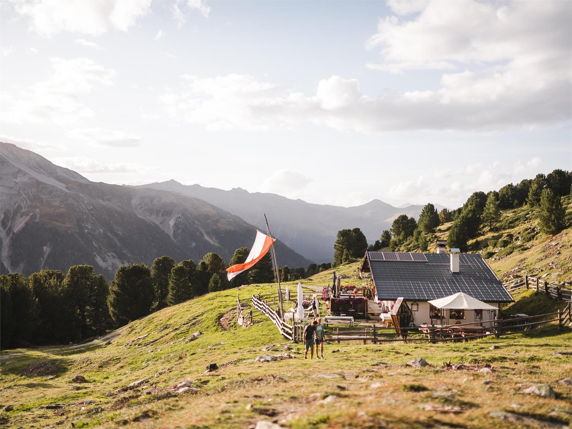 Kälberalm Stilfs 1 suedtirol.info