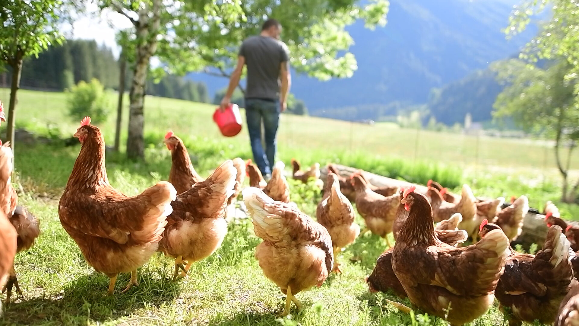 Lahnhof farm Gsies/Valle di Casies 1 suedtirol.info