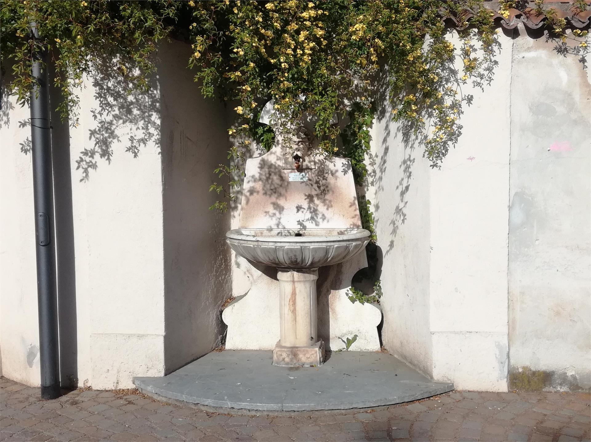 Fontana del Leone Bressanone 2 suedtirol.info
