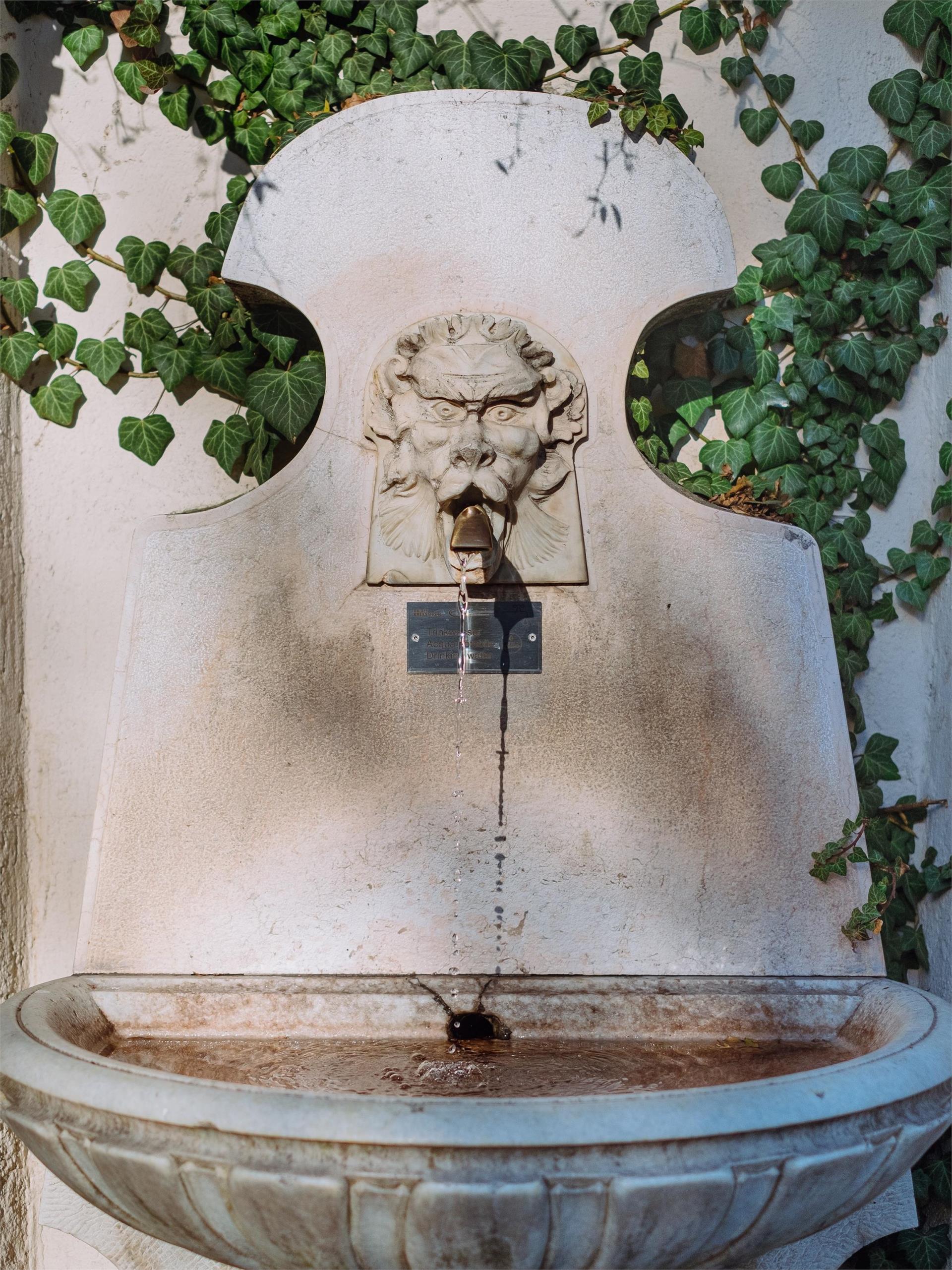 Fontana del Leone Bressanone 1 suedtirol.info