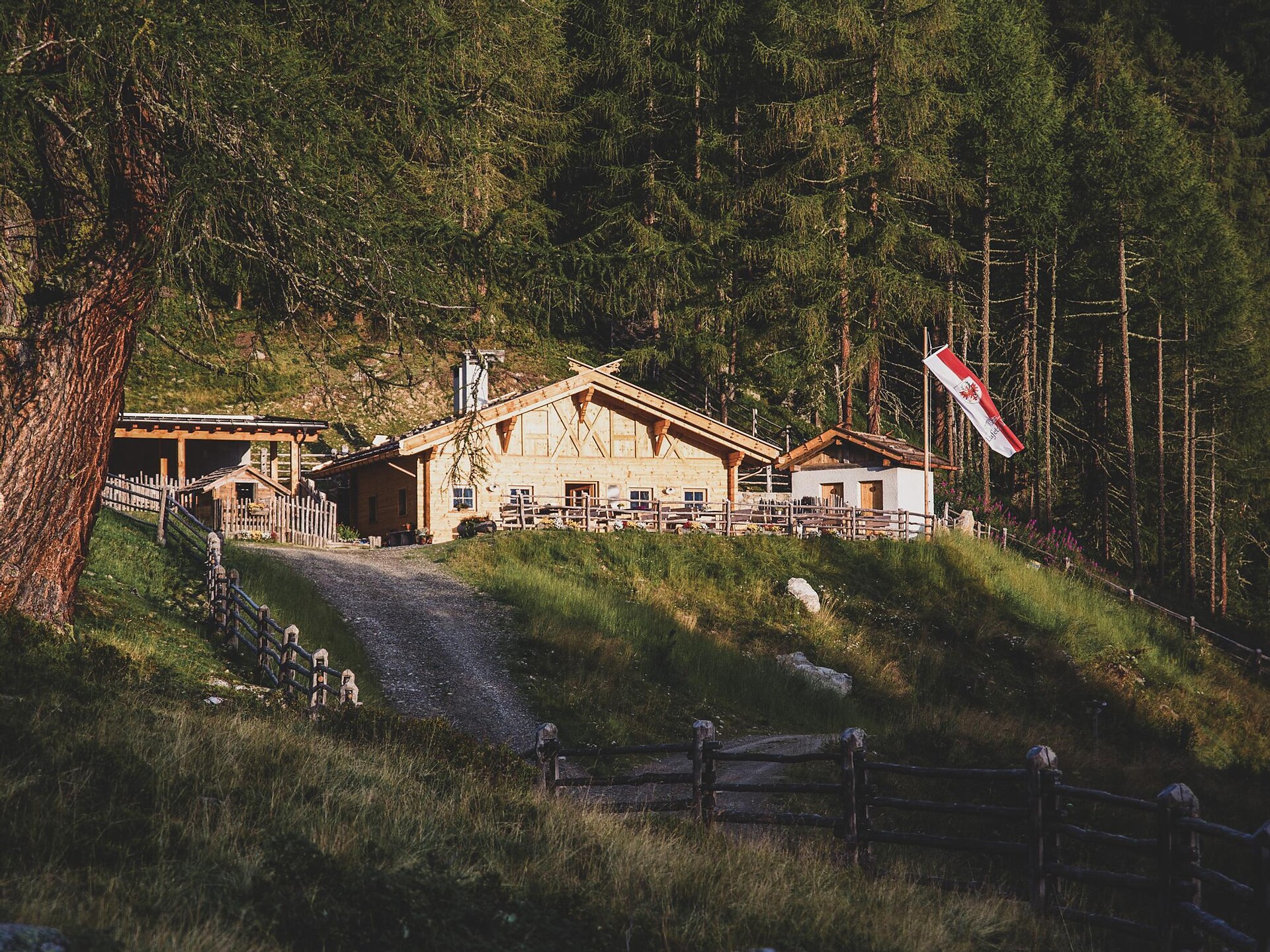Lafetz Hut Schnals/Senales 1 suedtirol.info