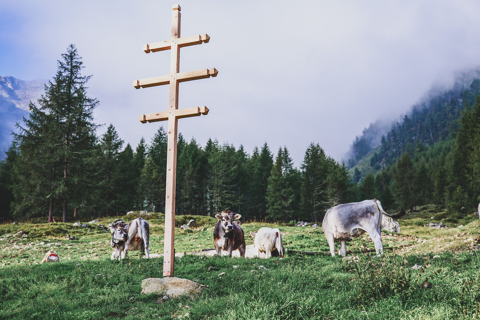 Lafetz Hut Schnals/Senales 9 suedtirol.info