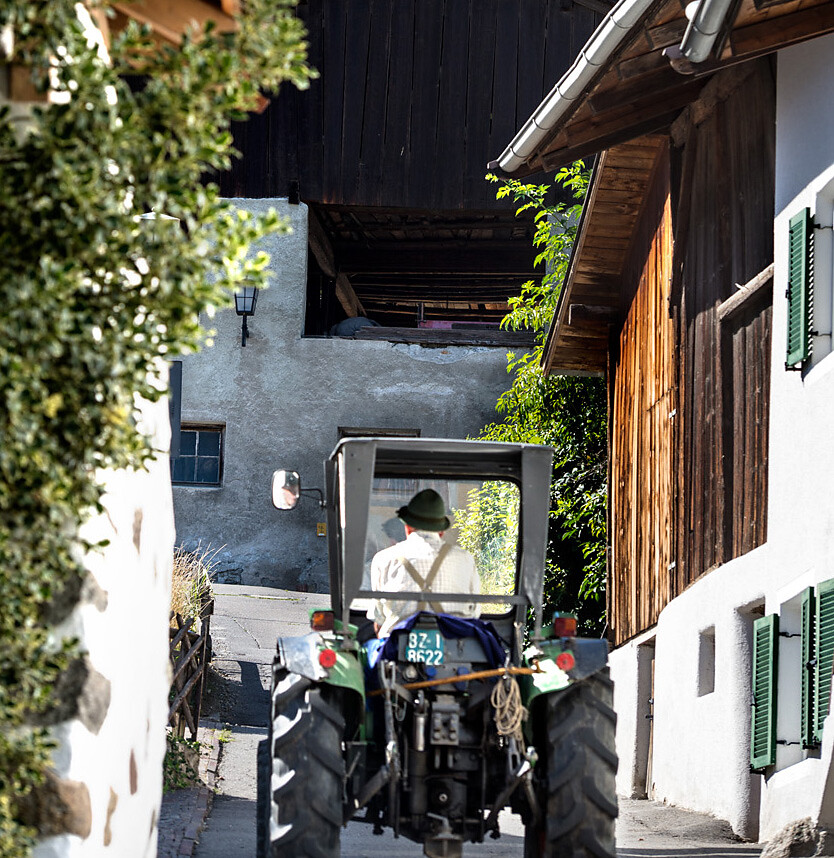 Landwirtschaft und Gartenbau Haller Günther Partschins 2 suedtirol.info