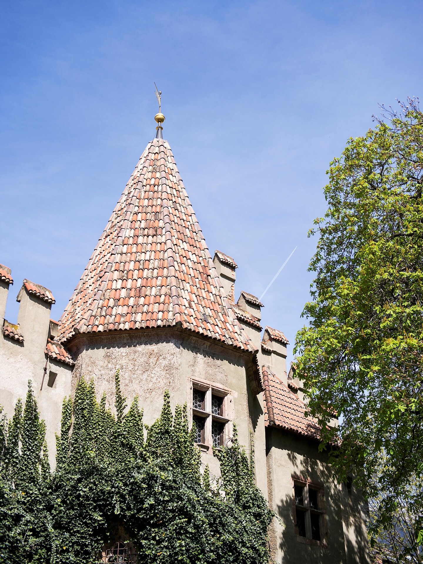 Castello Principesco