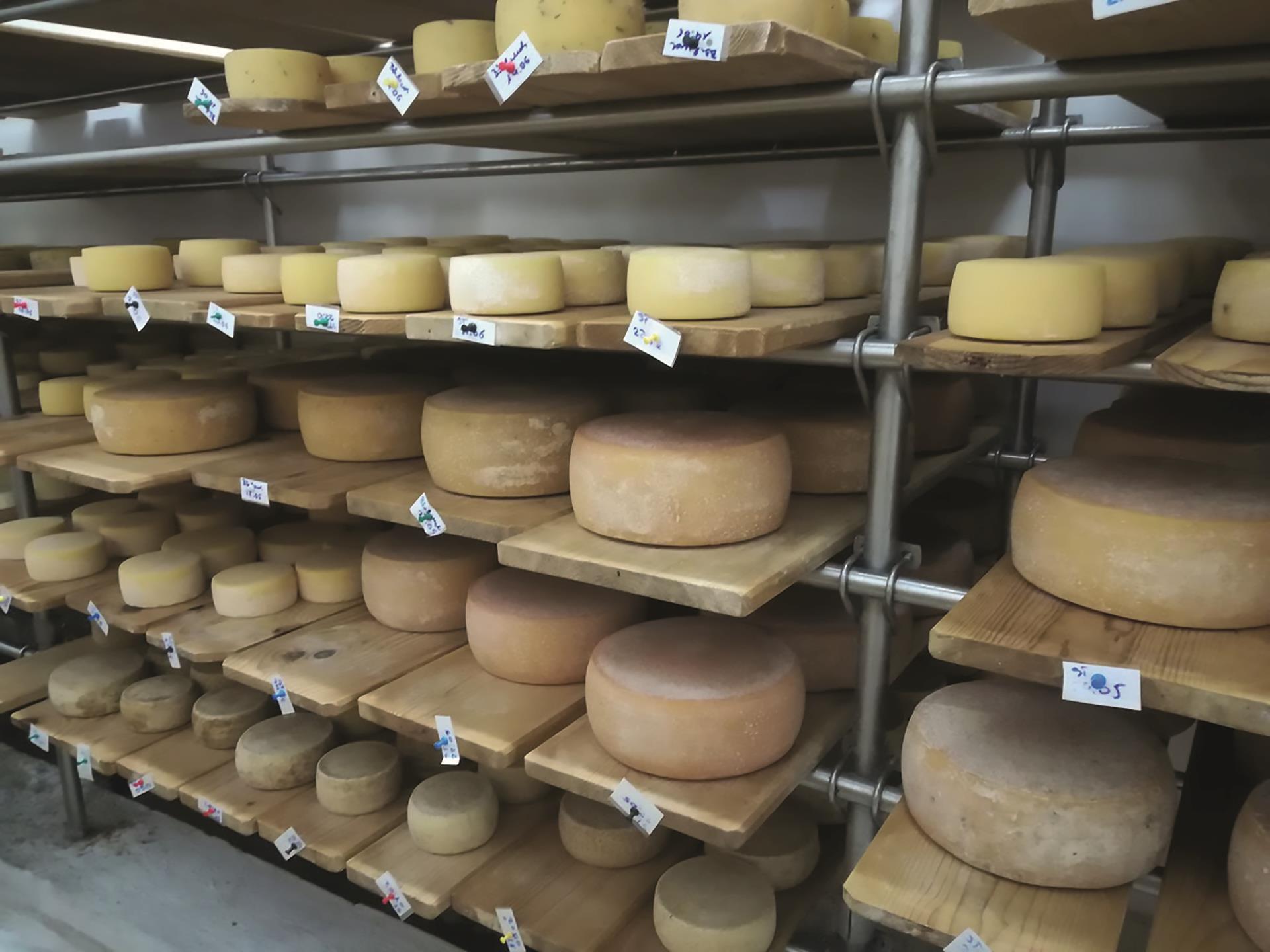 Lü de Mesavila - Hofeigene Produkte San Vigilio 1 suedtirol.info