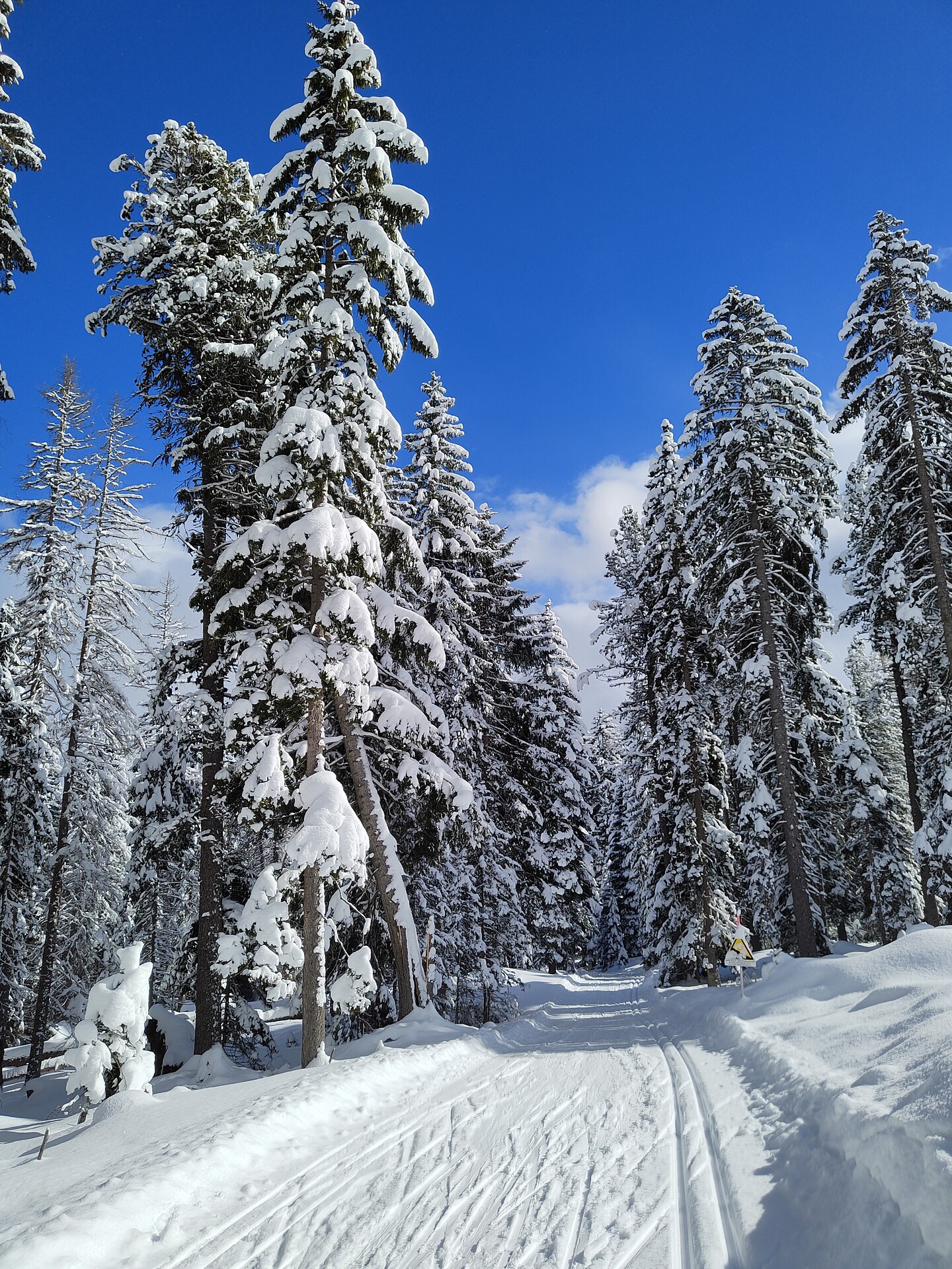 Centro fondo Lavazè -  - #1 - suedtirol.info