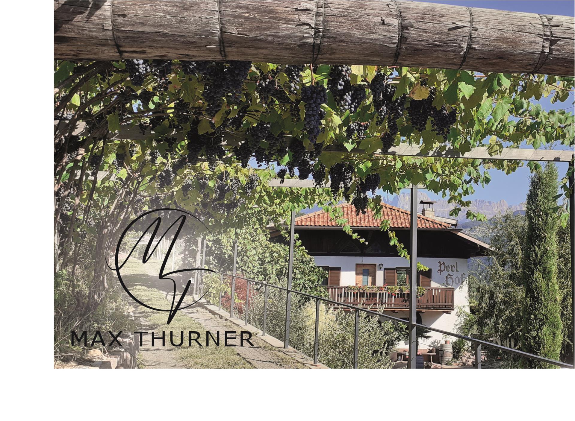 Max Thurner - Perlhof - Bolzano/Bozen and environs - #1 - suedtirol.info