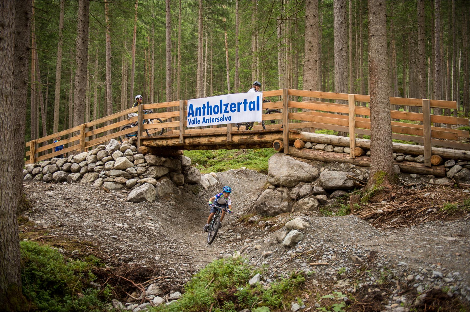MTB Area - Antholzertal Rasen-Antholz 1 suedtirol.info