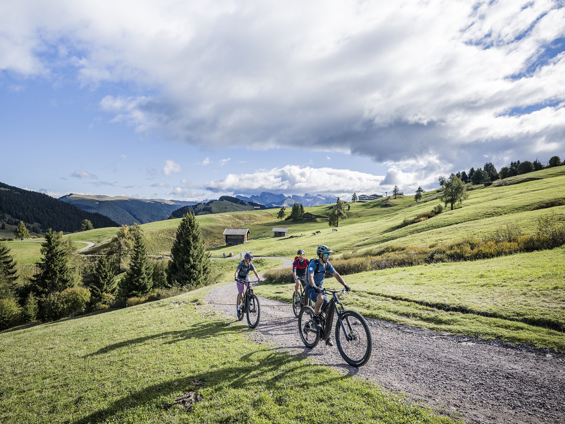 MTB School