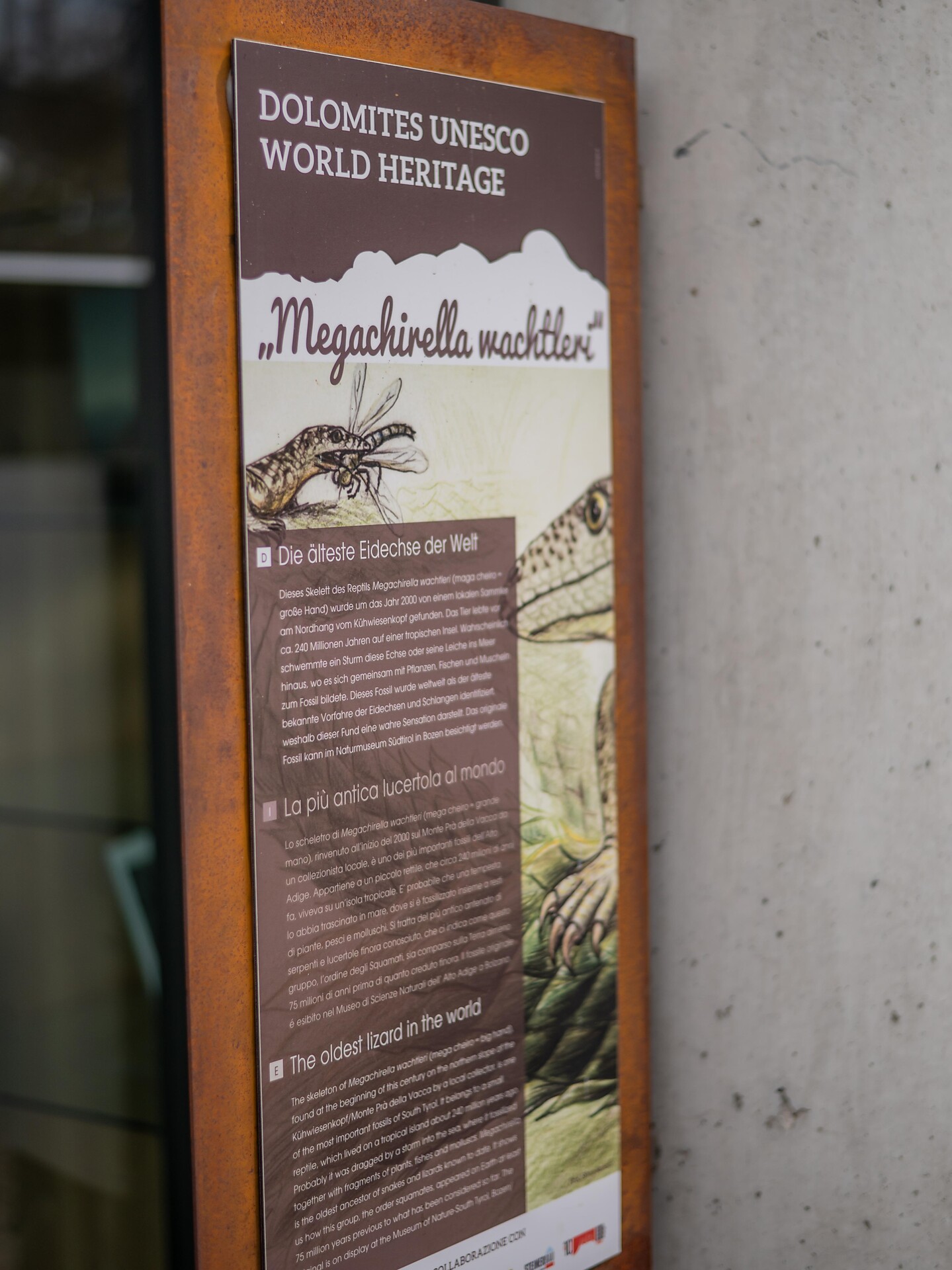 Megachirella Wachtleri - Dolomites Region Kronplatz/Plan de Corones - #3 - suedtirol.info