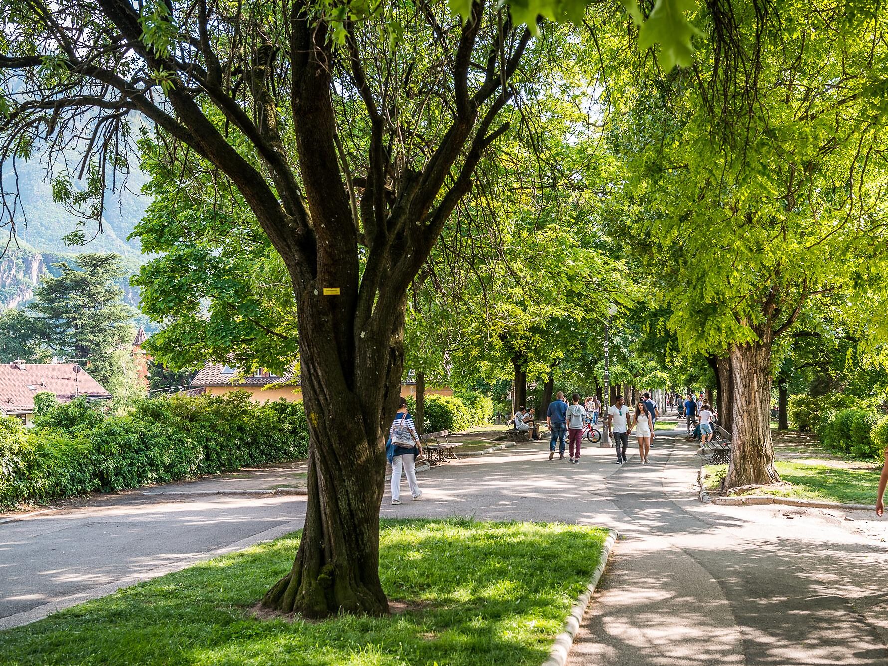 Talfer promenade