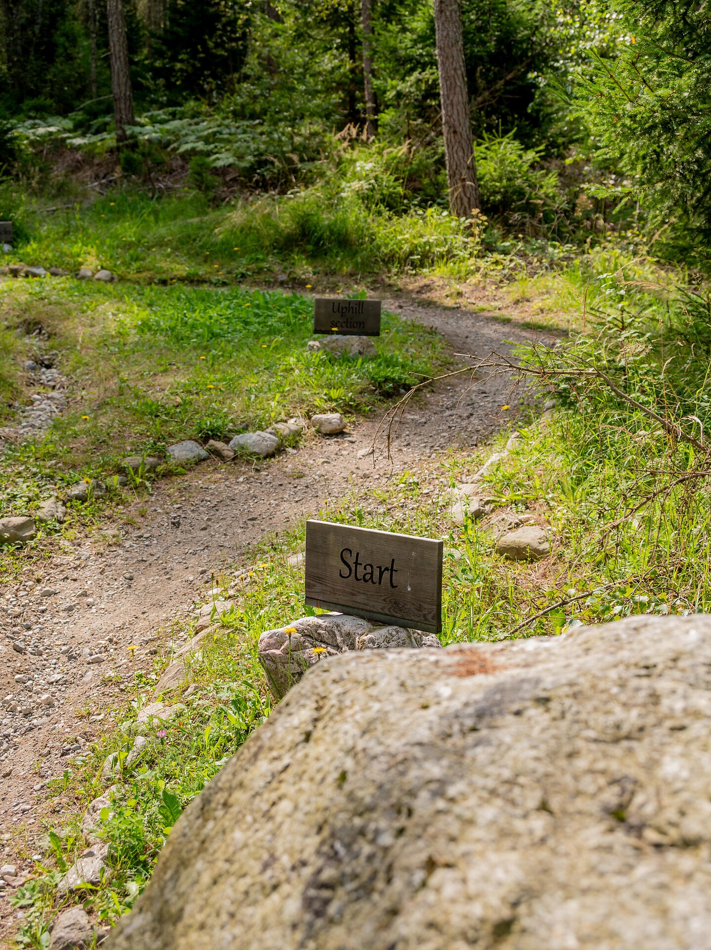 MTB Skill Area - Regione dolomitica Plan de Corones - #2 - suedtirol.info