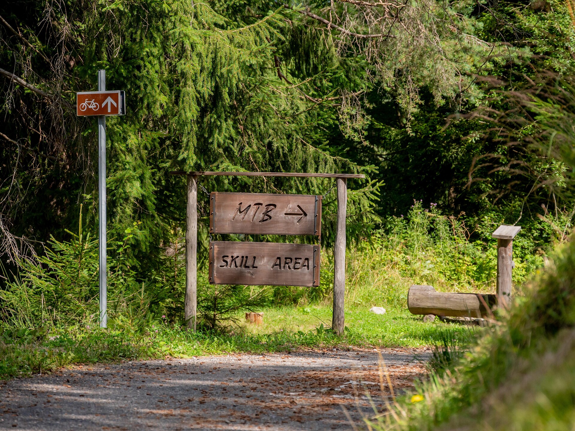 MTB Skill Area - Regione dolomitica Plan de Corones - #1 - suedtirol.info