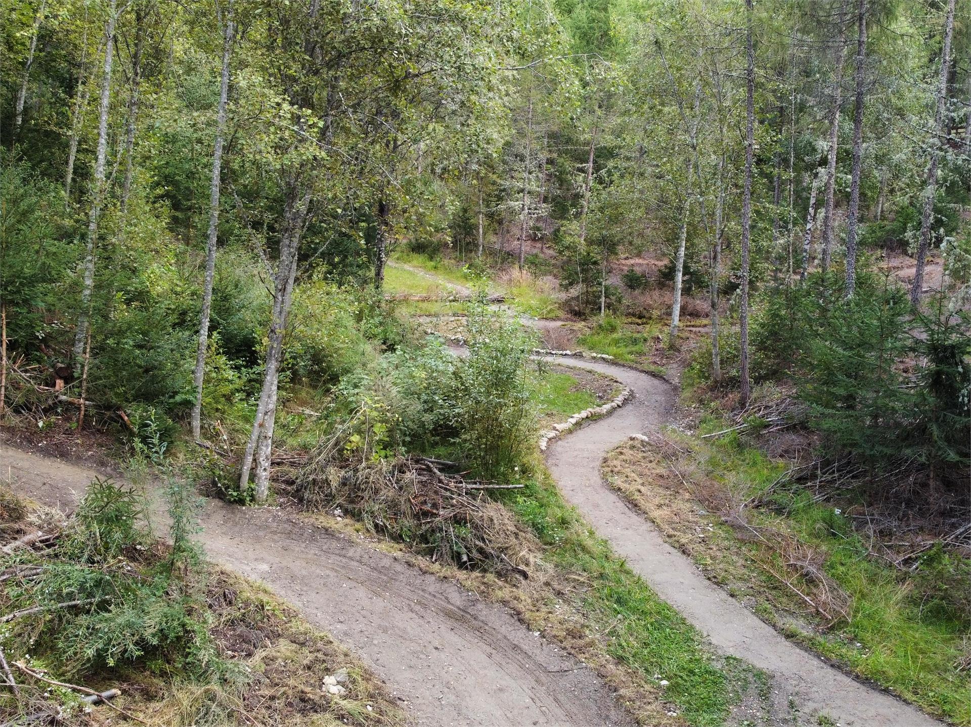 MTB Skill Area Valdaora 6 suedtirol.info