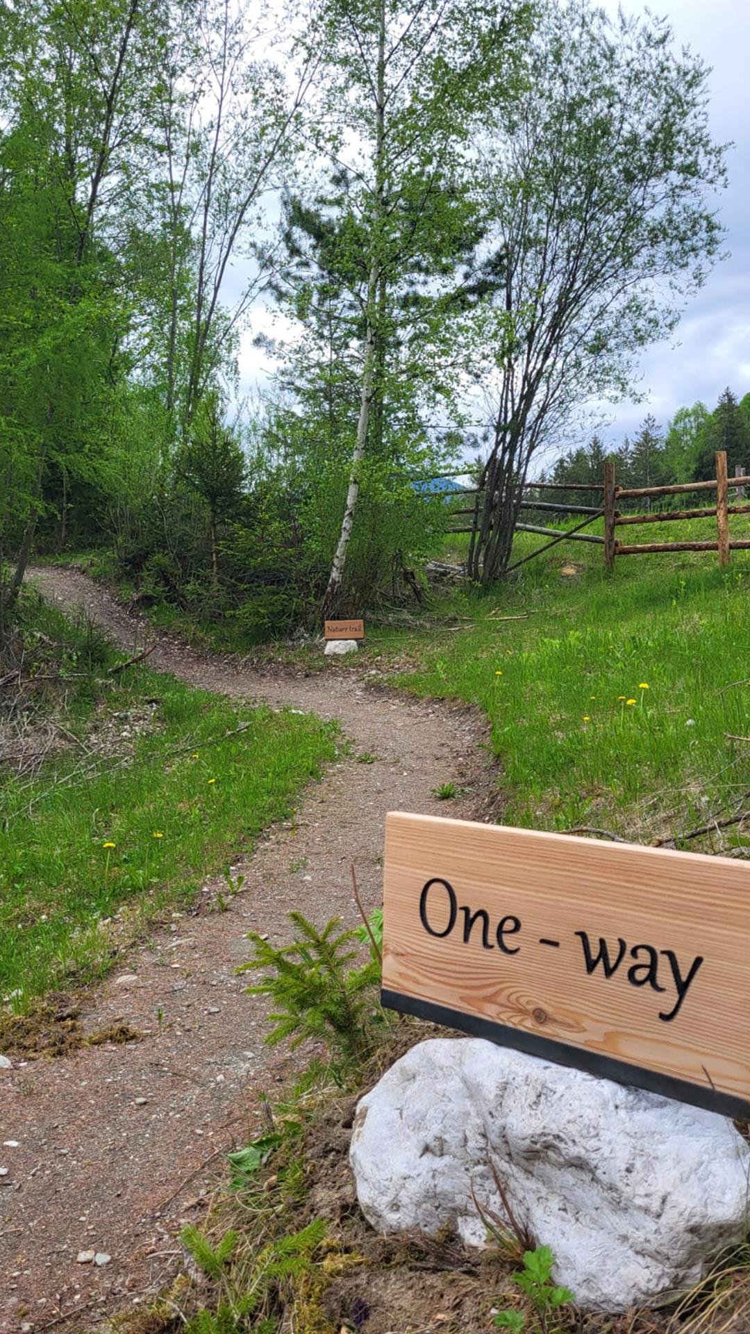 MTB Skill Area Valdaora 5 suedtirol.info