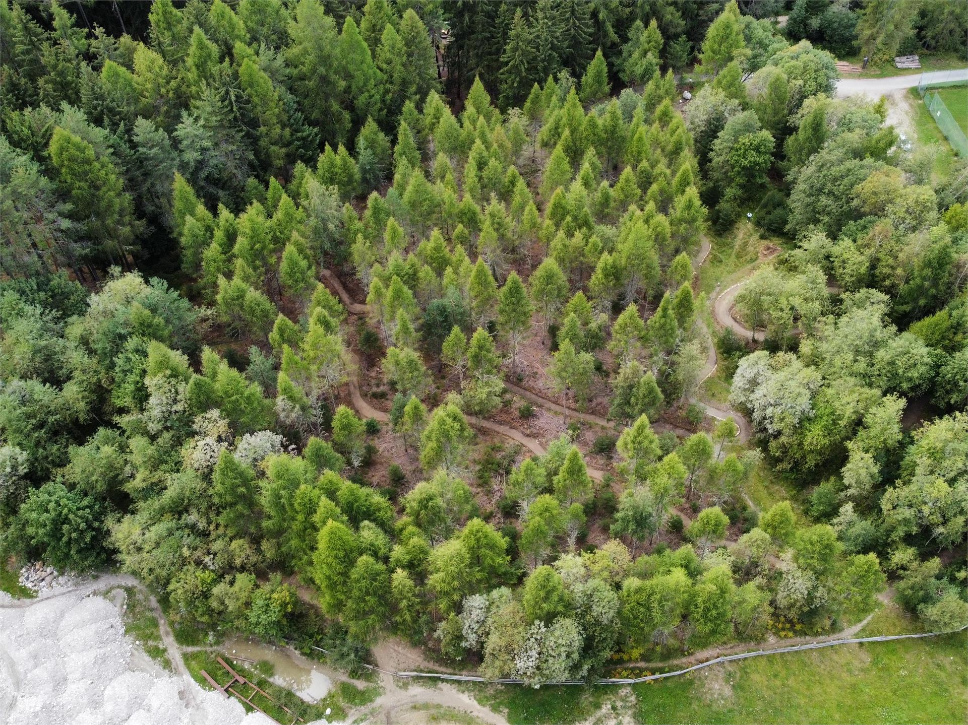 MTB Skill Area Valdaora 4 suedtirol.info