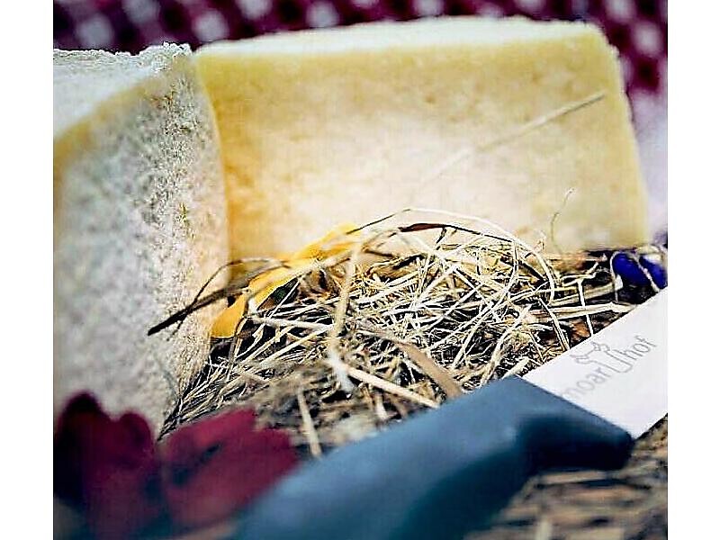 Hofkäserei Caseificio Moarhof Ahornach Acereto