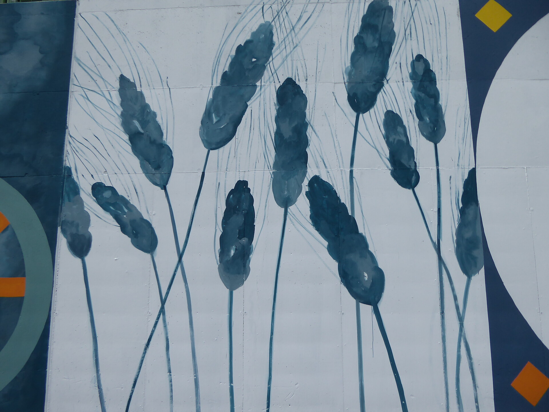 Murales