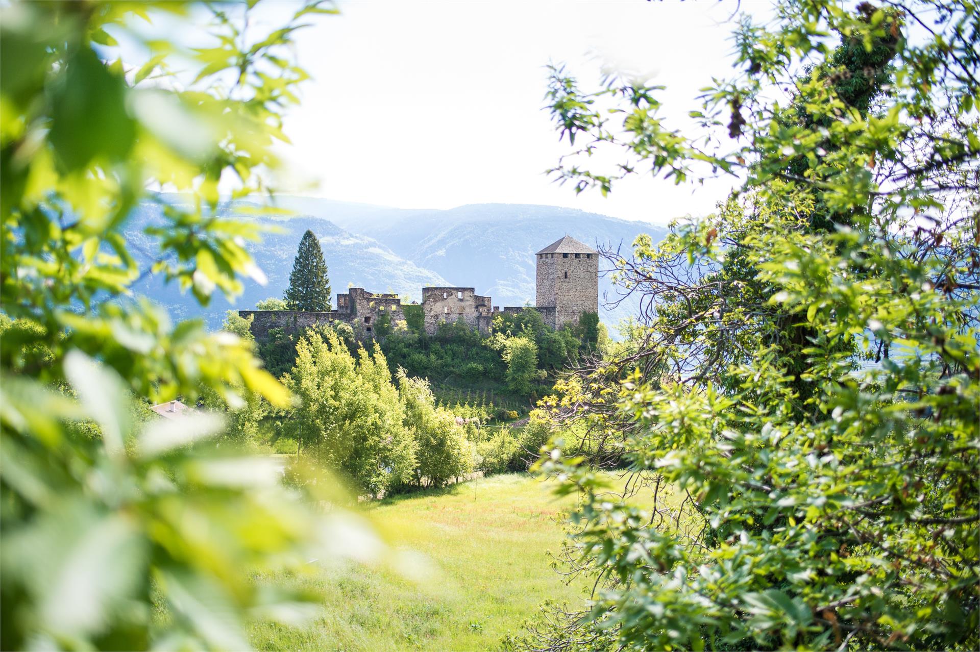 Castello Mayenburg Lana 3 suedtirol.info
