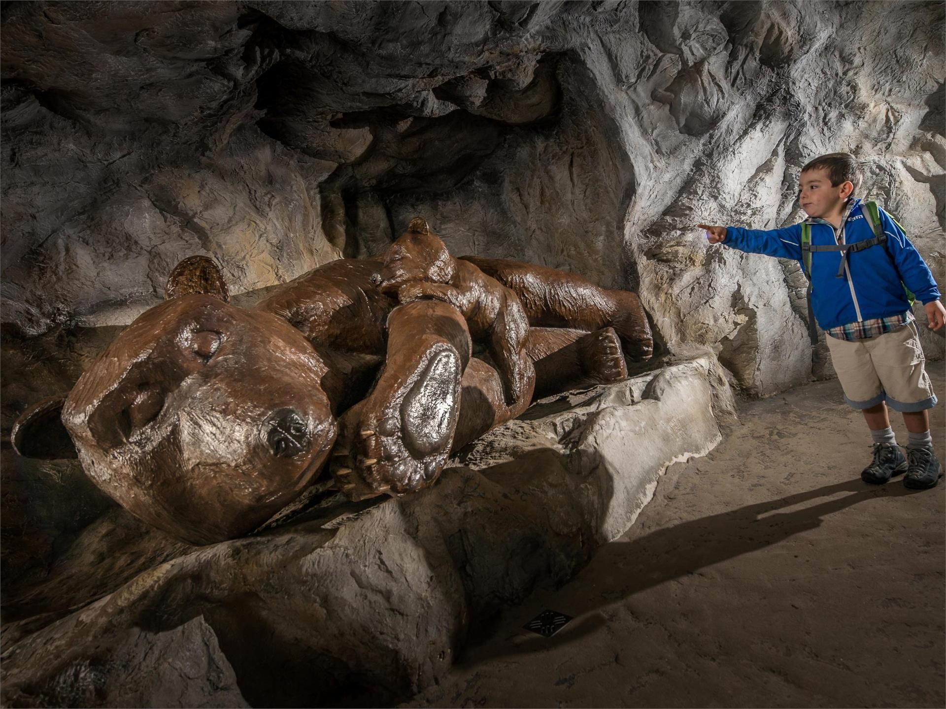 Movimënt - Bear Park Piz Sorega Badia 3 suedtirol.info