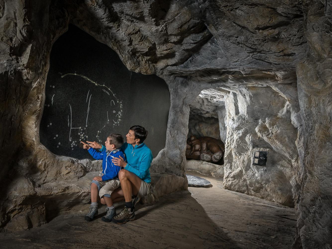 Movimënt - Bear Park Piz Sorega Badia 6 suedtirol.info