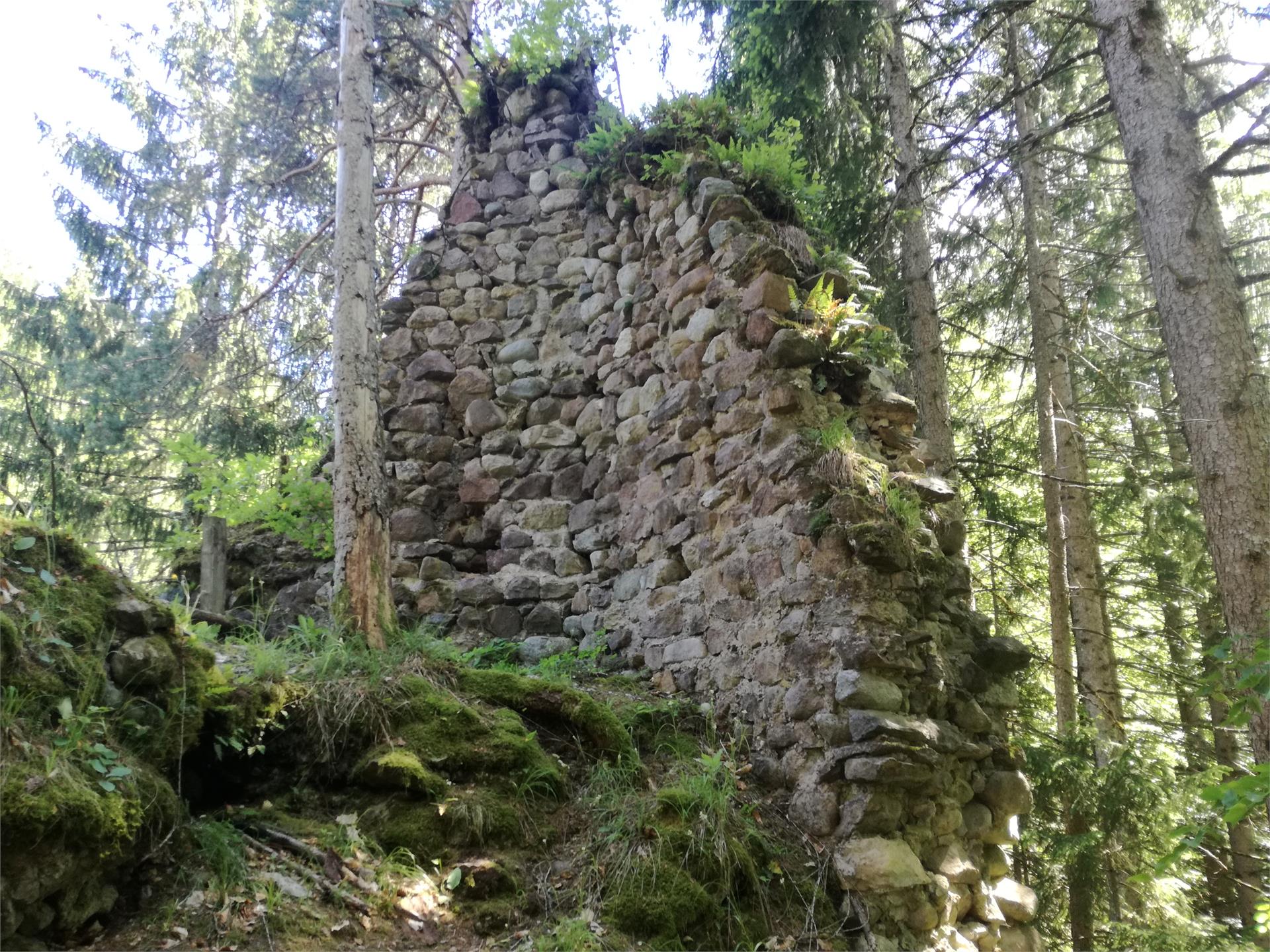Mauerreste Schloss Holz in Prissian Tisens 1 suedtirol.info