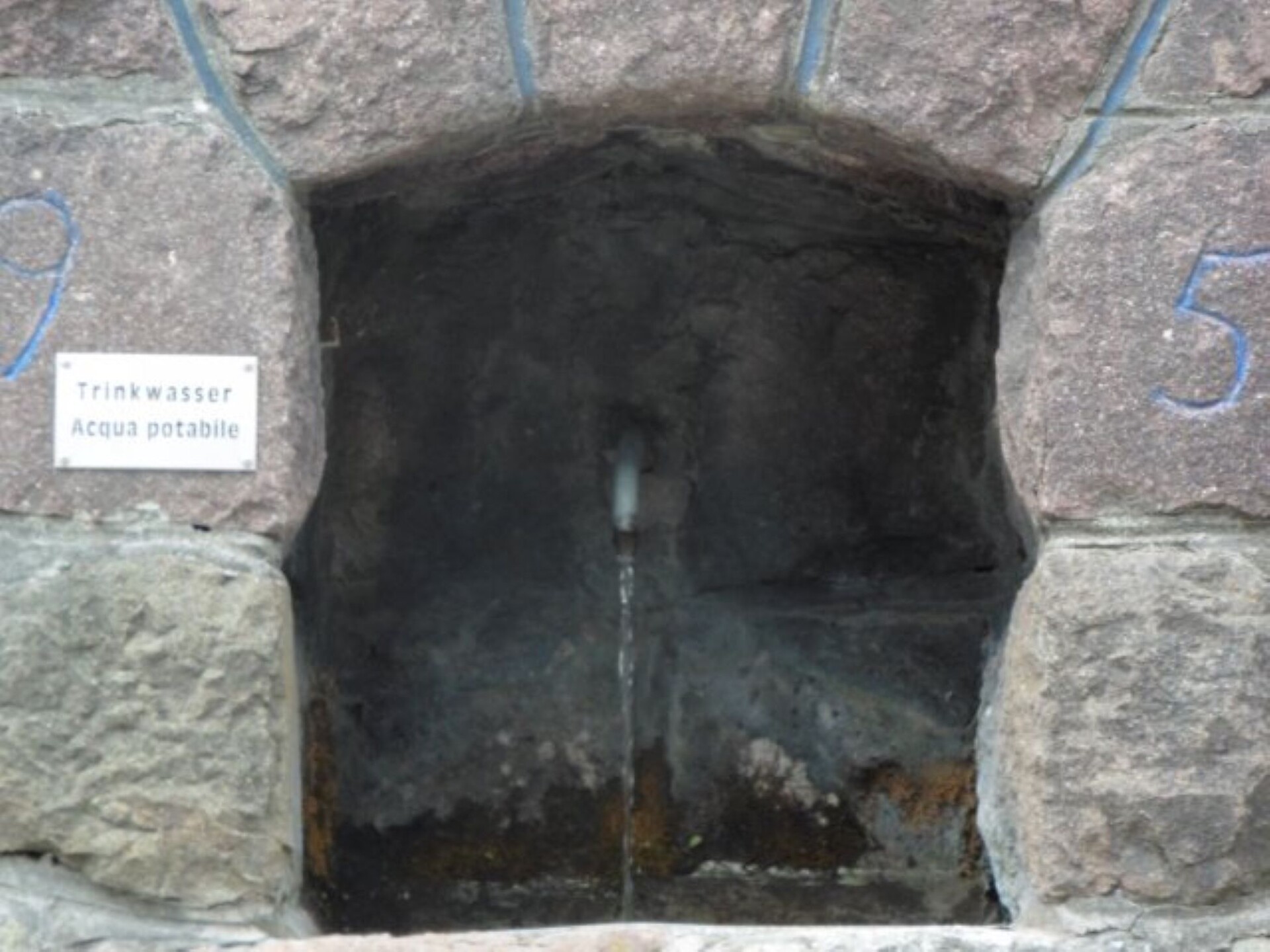 Fontana Max