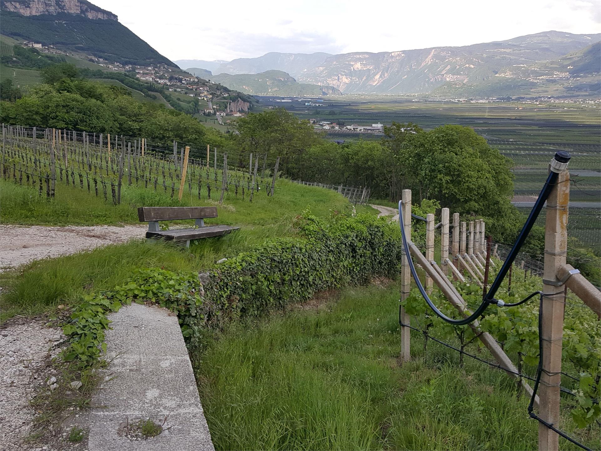 Margreider Leitenweg Magrè sulla Strada del Vino 1 suedtirol.info
