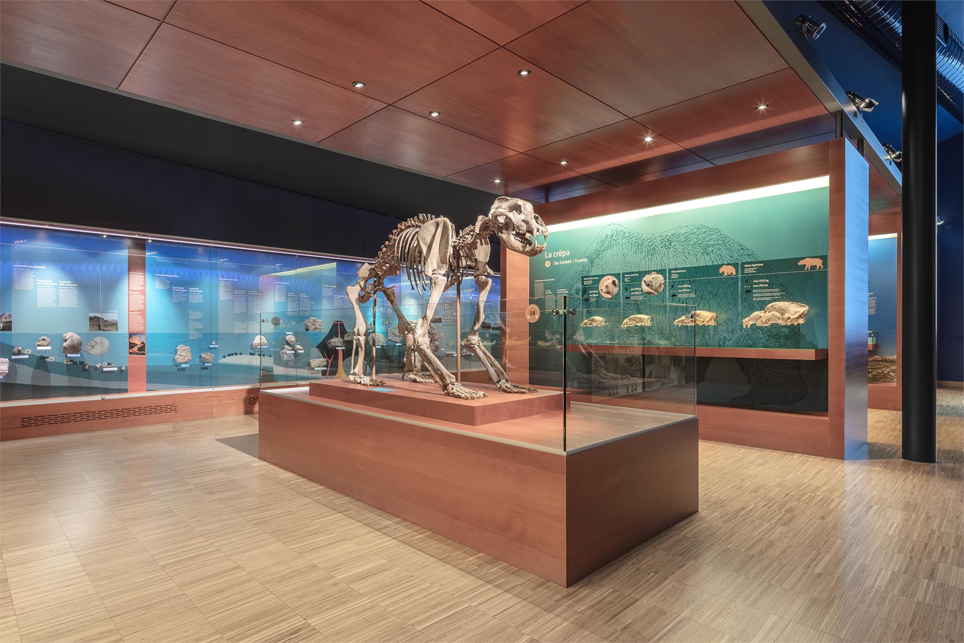 Museum Ladin Ursus ladinicus Badia 2 suedtirol.info