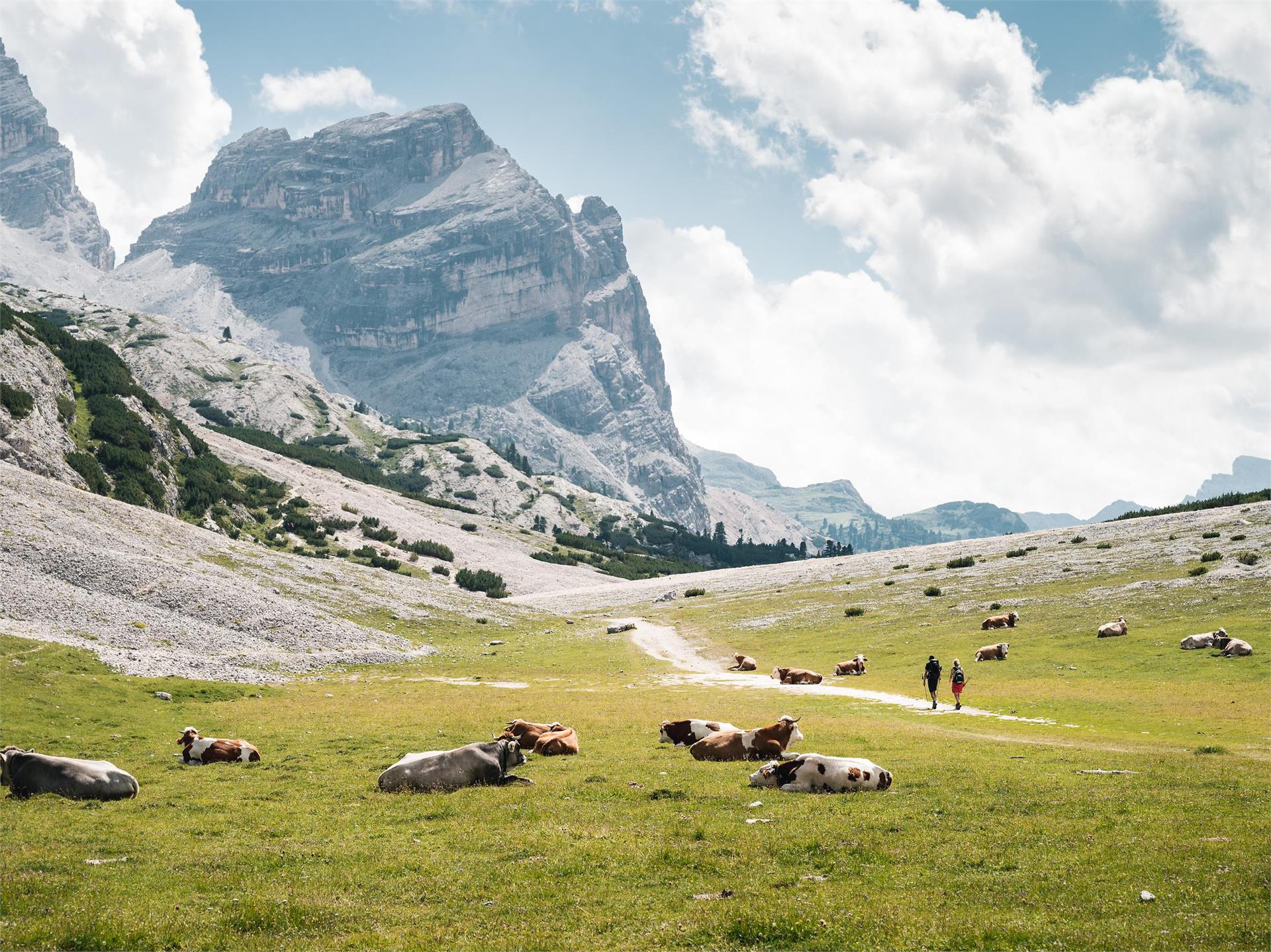 Naturpark Fanes - Sennes - Prags San Vigilio 1 suedtirol.info