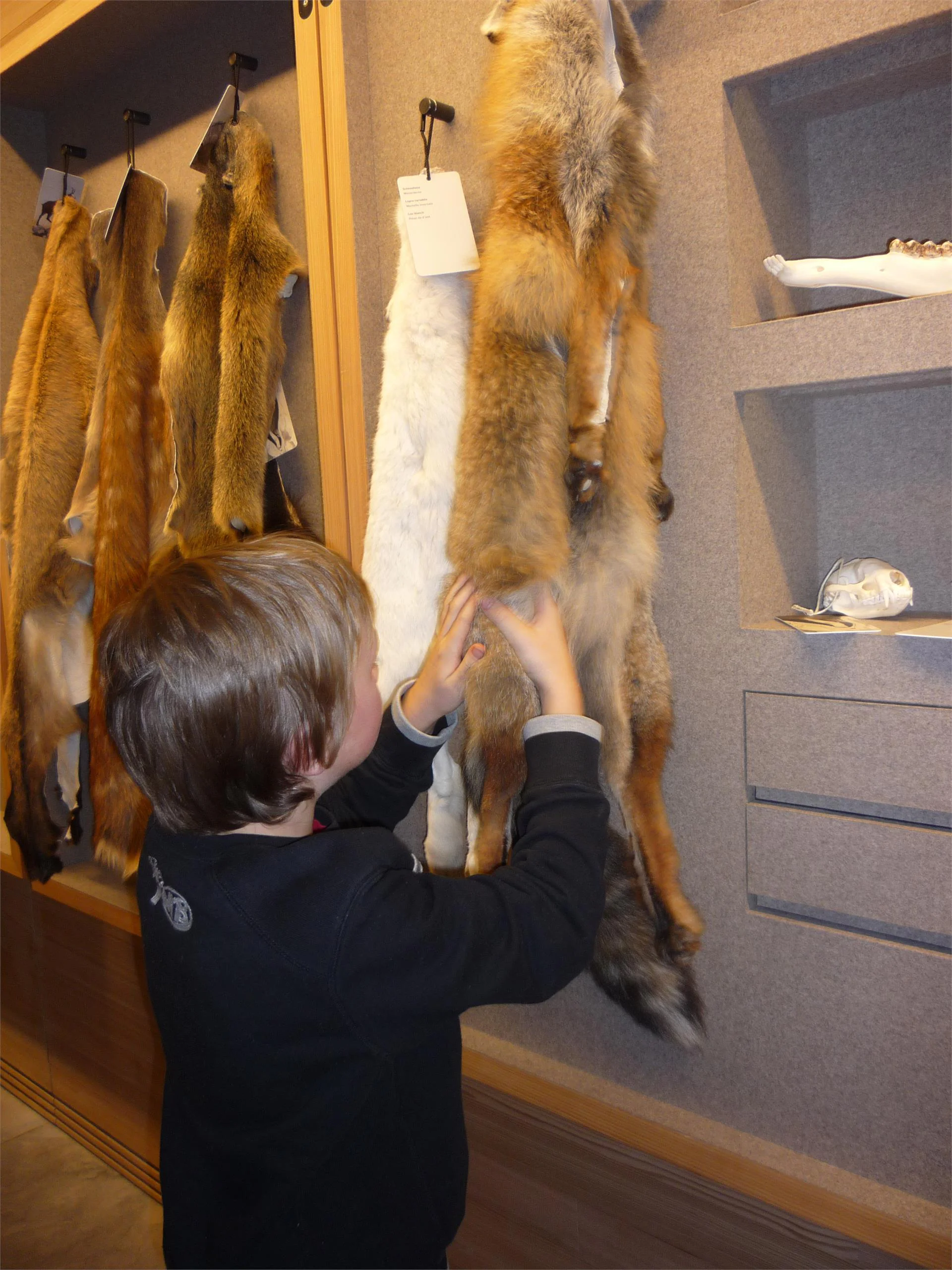 Centro visite Puez-Odle Funes 4 suedtirol.info
