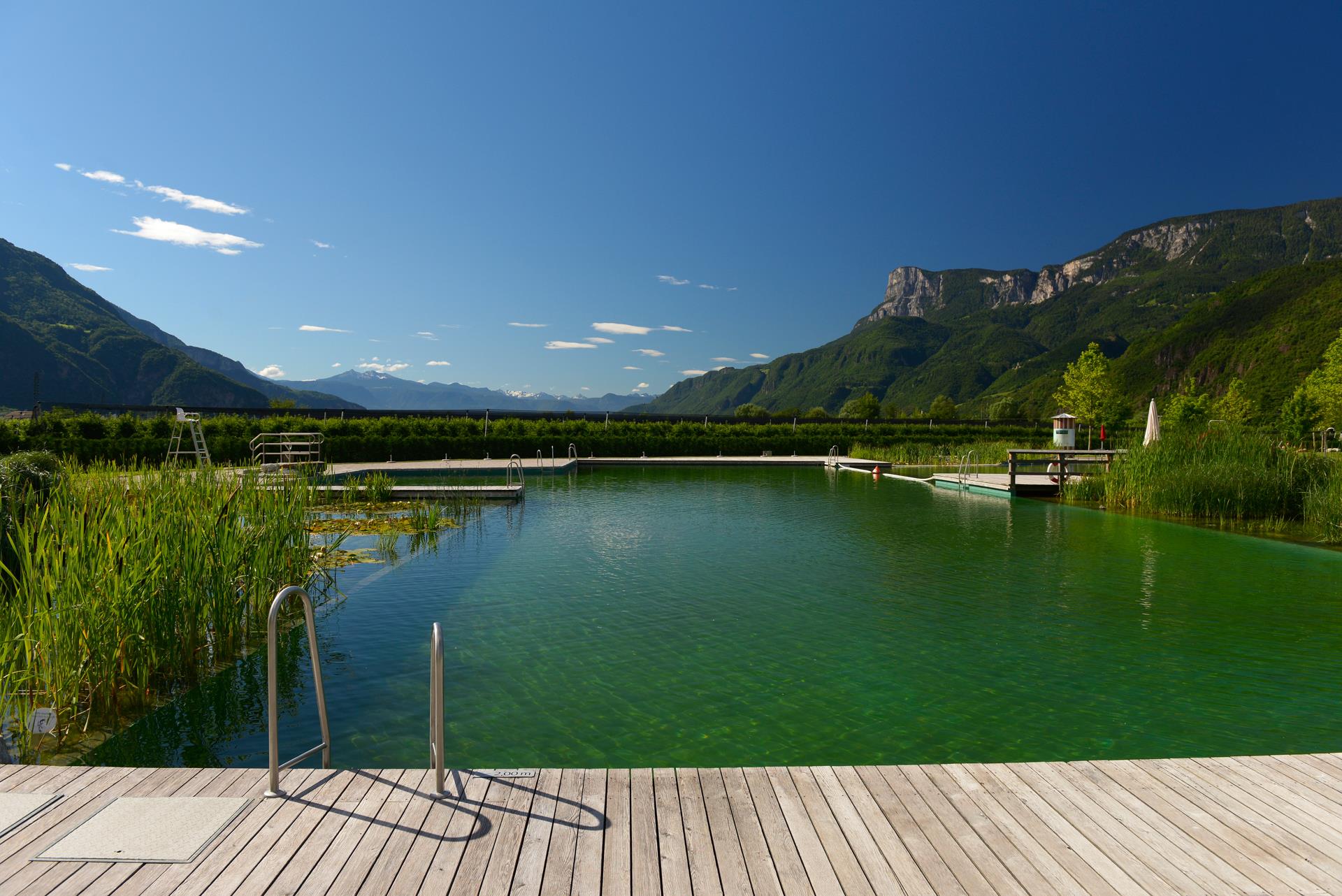 Piscina naturale Gargazzone Gargazzone 16 suedtirol.info